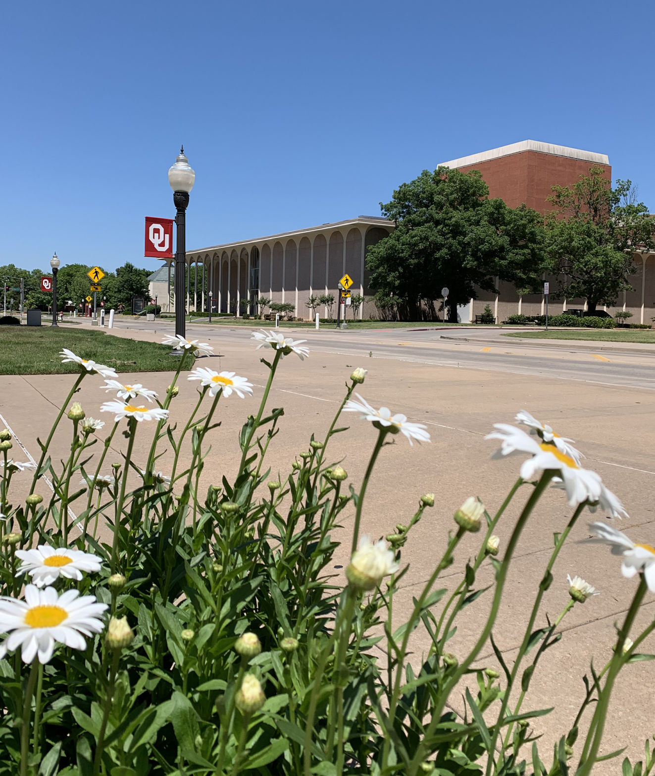 "Fine Arts Center"